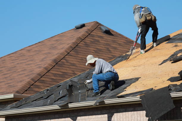 Best Chimney Flashing Repair  in Hunter, TN